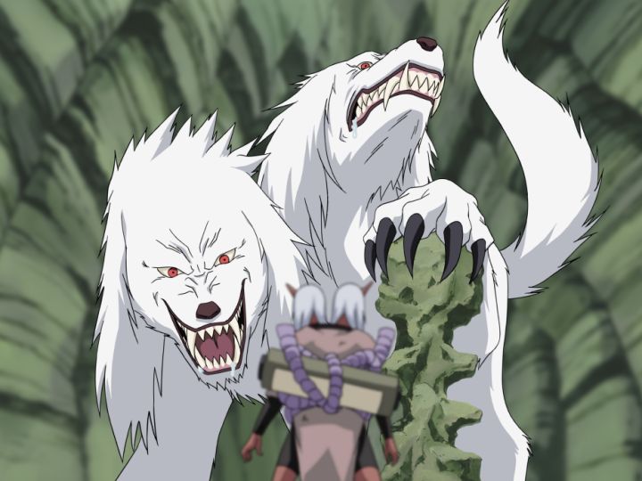 右近・左近:第1幕:犬塚キバとの消耗戦