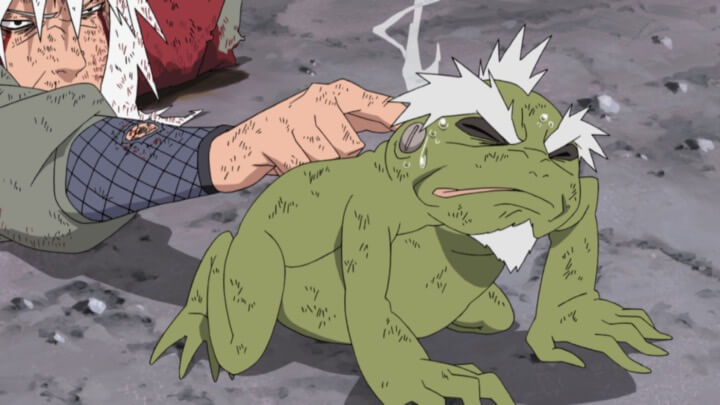 自来也：フカサクがカエルの背中に遺した暗号