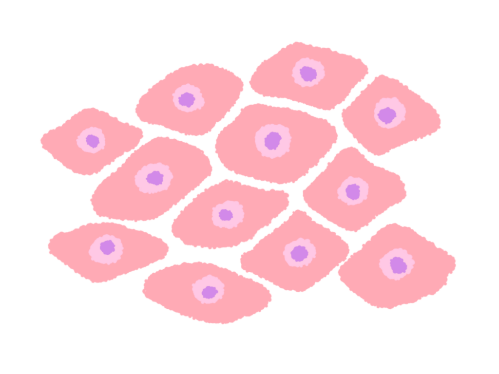 そもそも柱間細胞とは？その万能性