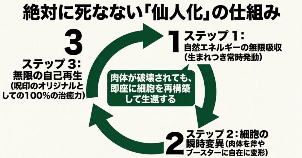 重吾が絶対に死なない仙人化の仕組み。自然エネルギーの無限吸収、細胞の瞬時変異、無限の自己再生という3ステップの図解。